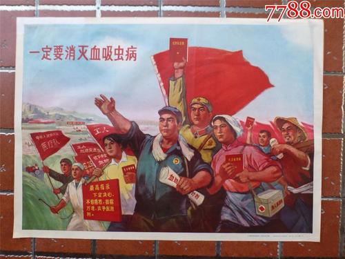 做个拳香港驾照多少钱